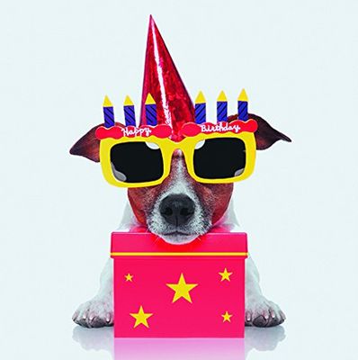 VADIGRAN Przedmiot pogrzebowy dla psa kartka z życzeniami 3D Birthday Dog