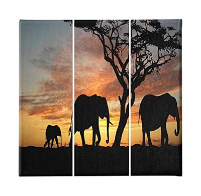 Homemania Tableau Eléphant - 3 Pièces - Animaux - du Salon, de la Chambre - Multicouleur en Polyester, Bois, 69 X 3 X 50cm - HM203PKNV-241