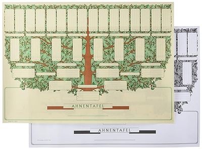 RNK 2803 - Pannello di visualizzazione per gioielli, formato DIN A3 orizzontale, 190 g/m², Albero piccolo" per 5 generazioni, 1 pezzo