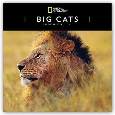 WWF Big Cats - Gros chats 2024 : calendrier original Carousel [Multilingue] [Calendrier] (calendrier mural)
