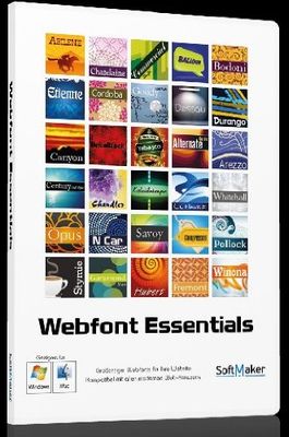 Webfonts Essentials [import allemand]