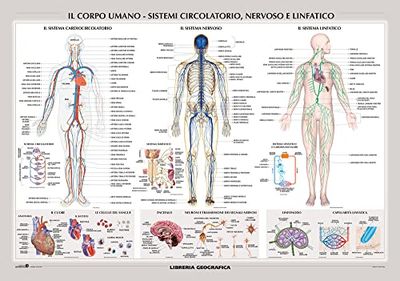 De Agostini 9788869852756 Wall Paper