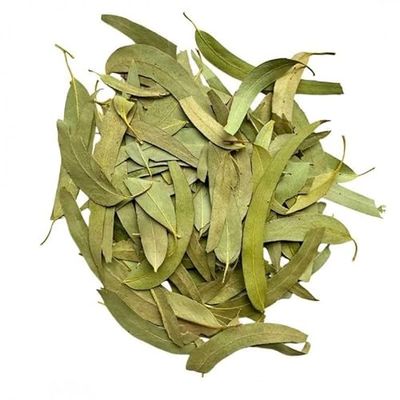 Tisane Eucalyptus feuille 250 GRS ENTIERE extra Eucalyptus globulus