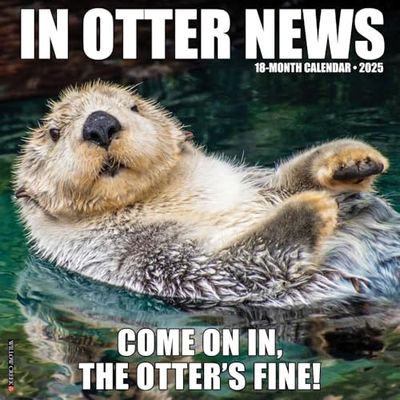 In Otter News 2025 Wall