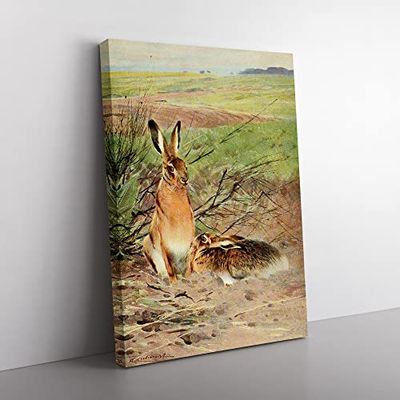 Vintage W Kuhnert Hare Vintage Canvas Wall Art Print Ready to Hang, Framed Picture for Living Room Bedroom Home Office Décor, 76x50 cm (30x20 Inch)