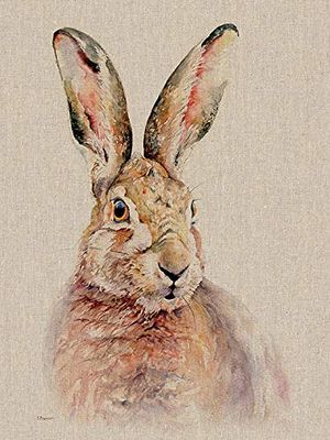 Jane Bannon Canvas Wall Art, Multicolore, 30 x 40 x 3.2 cm