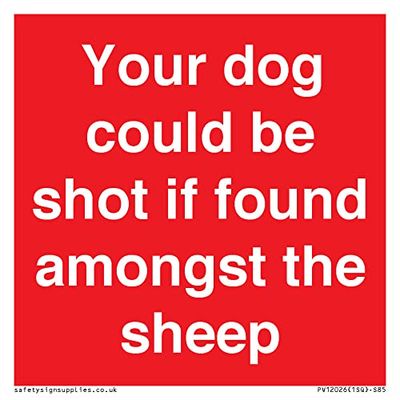 Your dog could be shot if found amongst the sheep Sign - 85x85mm - S85