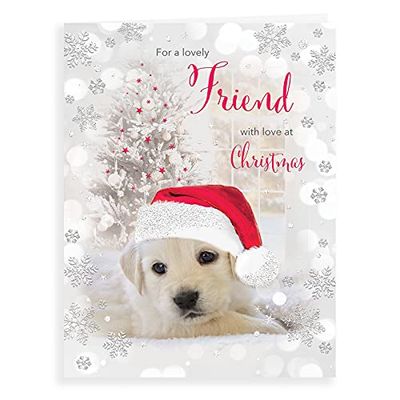 Piccadilly Greetings Carte de Noël avec photo 20,3 x 15,2 cm