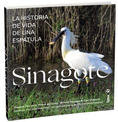 SINAGOTE LA HISTORIA DE VIDA DE UNA ESPATULA