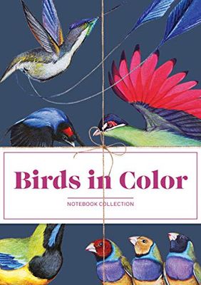 Chronicle Books Birds in Color Notebook Collection
