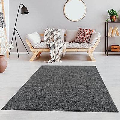 Fashion4Home Tapis de salon uni - Tapis uni pour chambre d'enfant, chambre à coucher, bureau, couloir et cuisine - Tapis à poils courts gris, taille : 80 x 150 cm