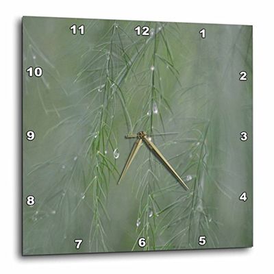 3dRose Asparagus - Reloj de Pared (38,1 x 38,1 cm), diseño de Hojas