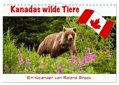 Kanadas Wilde Tiere (Wandkalender 2025 DIN A4 quer), CALVENDO Monatskalender: Die wilden Tiere Kanadas vom mächtigen Grizzlybär bis zur filigranen Libelle