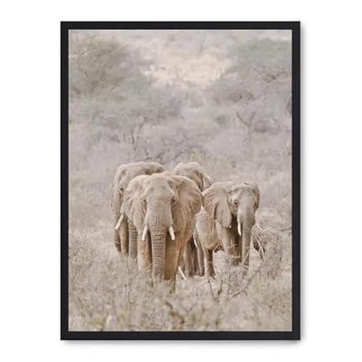Cuadro elephant herd i_FASE5