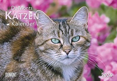 DUMONTS Cat Calendar 2024, Brochure Calendar, Wall Calendar, with School Holiday Dates, Format 42 x 29 cm: with Entertaining Cat Stories