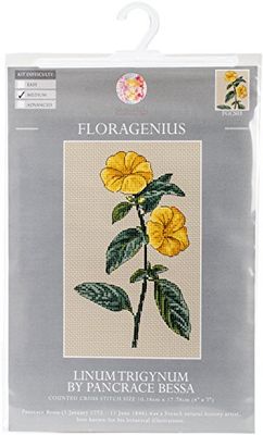 Creative World Of Crafts Floragenius Counted Cross Stitch Kit, Fabric, Linum Trigynum, 4 x 7-Inch