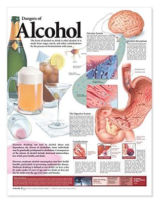 Dangers of Alcohol Anatomical Chart