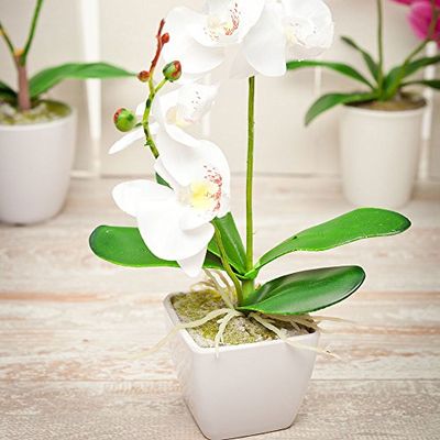 Restaurantware RWA0265-1 Faux Plants 5 Fleurs
