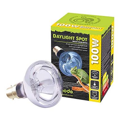 Komodo Neodymium Daylight Spot Lamp ES, 100 Watt