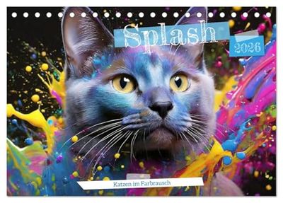 Splash - Katzen im Farbrausch (Tischkalender 2026 DIN A5 quer), CALVENDO Monatskalender: Splish Splash Katzenbad