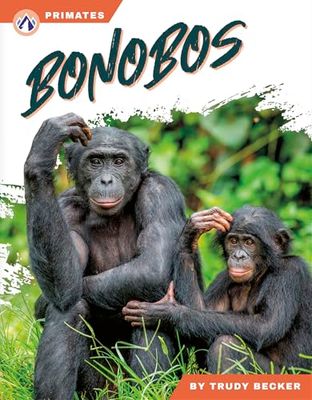 Bonobos