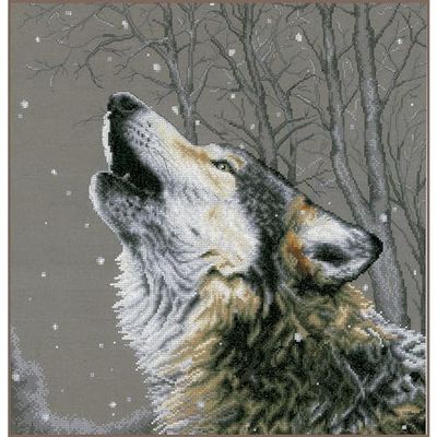 LANARTE Kit Punto Croce Contato ULULANDO ALLE STELLE Decorativi Per Pareti ca. 42 x 44 cm Set Fai Da Te Creativo Adulti Ricamo Casa Decor Arte Da Parete Kit Per Hobby Cross Stitch