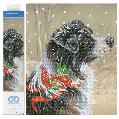 DIAMOND DOTZ Painting Kit, Intermediate, DD10 Peinture Diamond Dotz-Intermédiaire-DD10, Multicolore, 50 x 40 cm