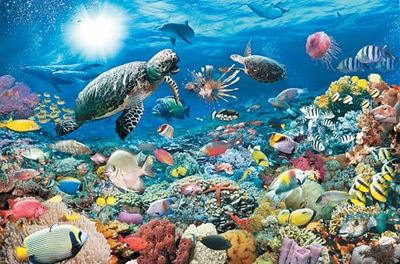 Ravensburger - Maravilhas do mundo subaquático, puzzle 5000 peças (17426 3)