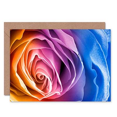 Wee Blue Coo - Biglietto di auguri con immagine di fiori e petali di rosa multicolore