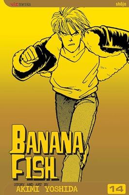 Banana Fish, Vol. 14: Volume 14