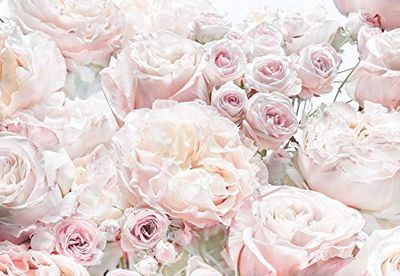 Komar 8-976 Papel de parede fotográfico para parede, 8 partes, 368 x 254 cm, design de rosas
