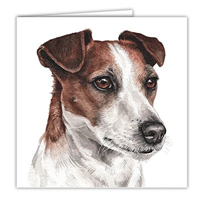 Maturi Biglietto d'auguri bianco con immagine di cane Jack Russell color acqua, multicolore 441020