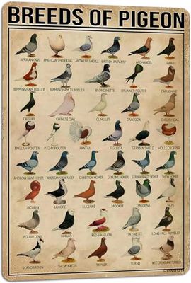 PAIION Razze di piccioni cartelli in metallo piccione educazione enciclopedia conoscenza poster decorazione da parete fattoria decorazione per la casa stampa vintage 20,3 x 30,5 cm
