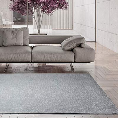 Tadi & Imperio1979 Tapis de Salon en Vinyle tressé Gris argenté chiné Naturel Finition Cousue Fine et Dimensions 120 x 170 cm