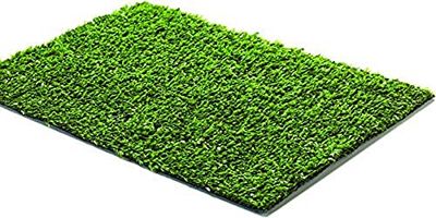 Linea Garden Friend P1902310 Césped verde Basik 8 mm H 100 L 300 cm