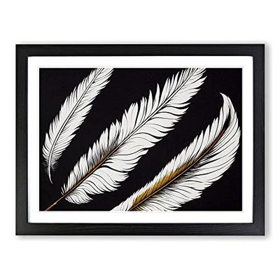 Groovy Bird Feathers H1022 BLK Framed Print for Living Room Bedroom Home Office Décor, Wall Art Picture Ready to Hang, Black A2 Frame (64 x 46 cm)