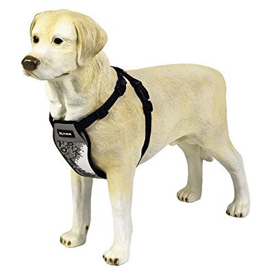 Beeztees Xtremo Harnais en Nylon voor Chien Gris 42-78 cm x 1,5 cm