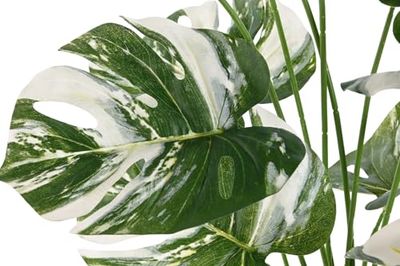 PLANTA PP CERAMICA 46X46X66 MONSTERA VERDE_AlexandreHouse