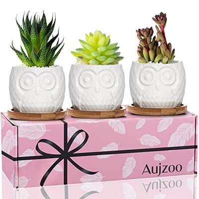 Aujzoo Uggla suckulenta krukor gåvor för kvinnor 3 st - vit modern dekorativ keramisk blomplanterare växtkruka med dränering - hemmakontor skrivbord trädgård mini kaktus kruka inomhusdekoration