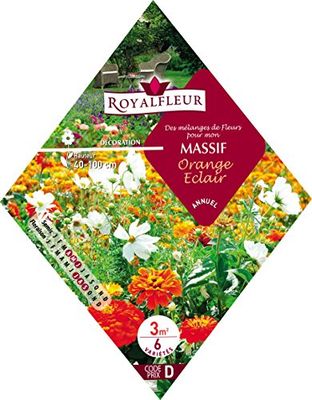 Royalfleur PFRK08361 Graines de Mélange de Fleurs mon Massif Orange Eclair 3 m²