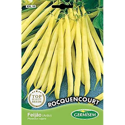 Germisem Rocquencourt Franse Bonen Zaden 100 g