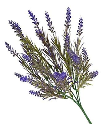 VEA SRL Tige P. Mazzetto Lavanda 33 cm 59449