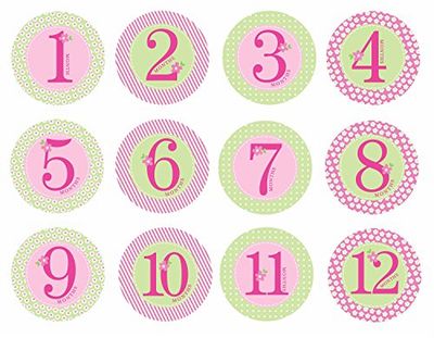 Pearhead stickerset voor baby's, voor de eerste maanden, met Engels opschrift 60031 roze
