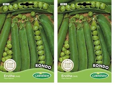 Germisem Rondo Graines de Pois 100 g XXL 5 Multicolore (Lot de 2)