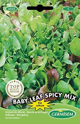 Germisem graines Mélange Babyleaf SPICY MIX