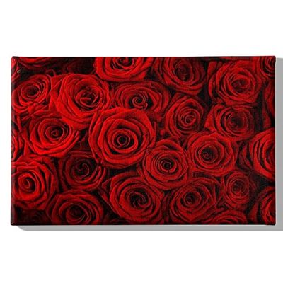 Homemania HM20KNV45x70-211 Cuadro - Flores - La Naturaleza, Poliéster, Madera, Multicolor, 45 x 3 x 70 cm