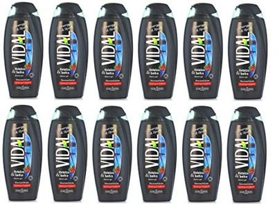 Vidal Energy & Sport Ginseng Lot de 12