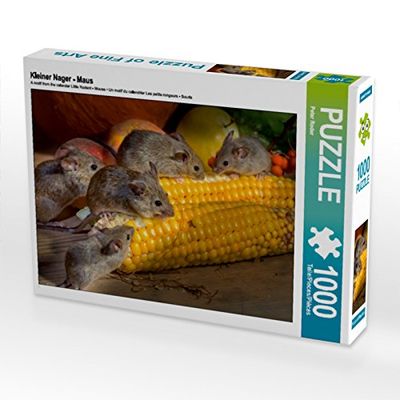CALVENDO Puzzle piccolo Nager – Mouse 1000 pezzi Lege dimensioni 64 x 48 cm foto puzzle immagine di Roder Peter