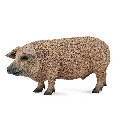 Collecta - Figura Mangalica maiale (88674)