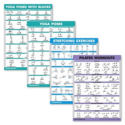 Palace Learning Confezione da 4 – blocchi per yoga, esercizi di pilates, posizioni yoga e stretching (45 x 61 cm, laminati)